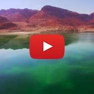 The Dead Sea