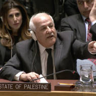 Palestinian ambassador to the UN Riyad Mansour
