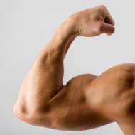 muscle