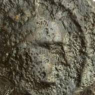 Hasmonean coin
