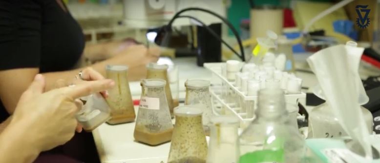 Cancer research at Israel's Technion