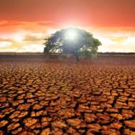 Drought