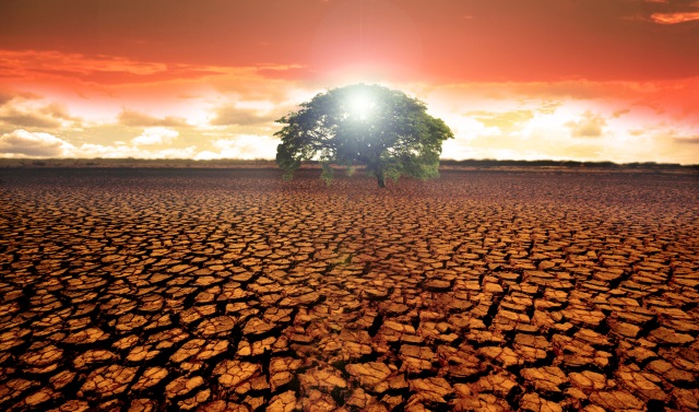 Drought