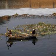 Yamuna River
