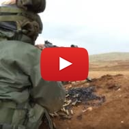 IDF border defense