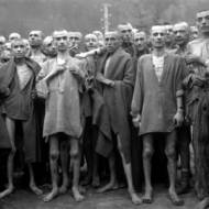 holocaust