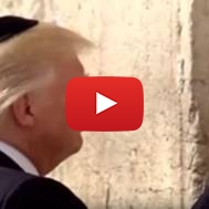 trump at western wall