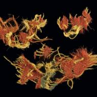 Woolen textile from Timna