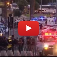 Palestinian terror