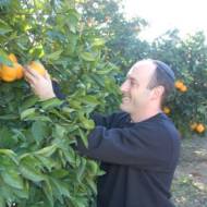 Leket Israel founder Joseph Gitler