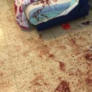 Palestinian terror