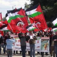 DFLP