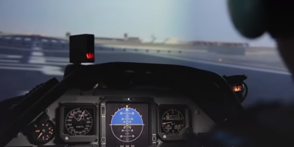 Flight Simulator
