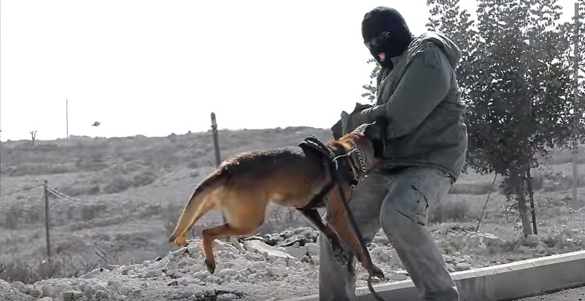 dog attacks terrorist