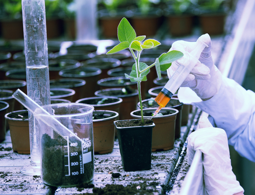 agriculture reseacrh