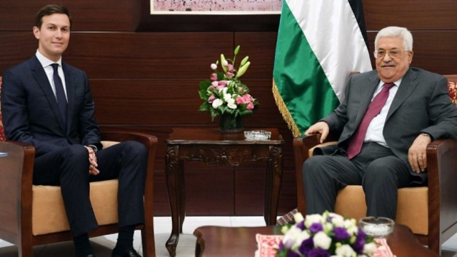 Abbas Kushner