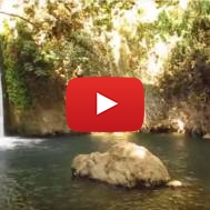 Banias