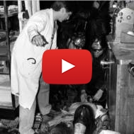 Jo goldenberg paris terror
