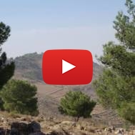 Mount Nebo