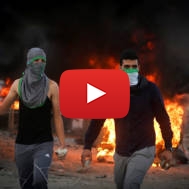 Palestinian terror
