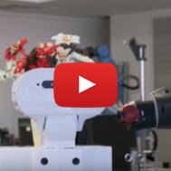 Rosh Hashana robot party