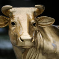 Golden Calf