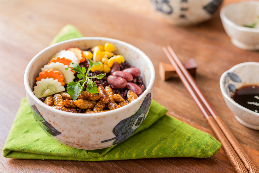 Insect food