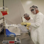 cell therapy