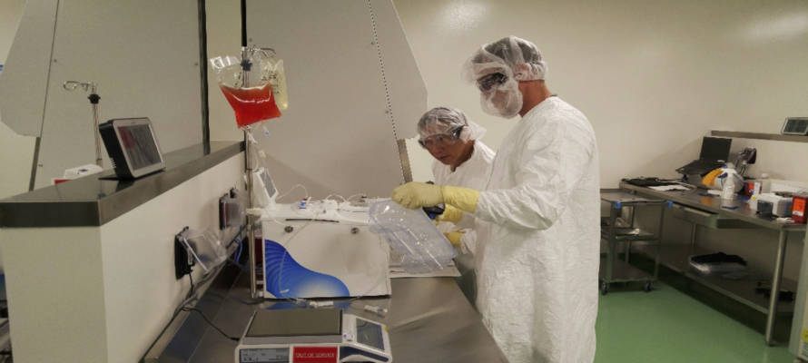 cell therapy