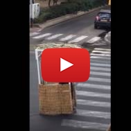Sukkah on wheels