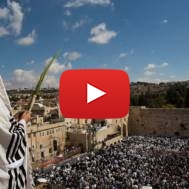 kotel_sukkot_kohanim