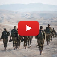 IDF