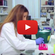 Cancer researcher