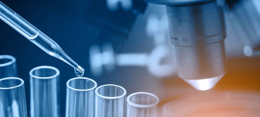 Lab