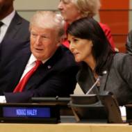 Trump Haley