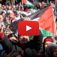 Palestinian protesters