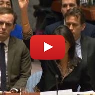 Nikki Haley