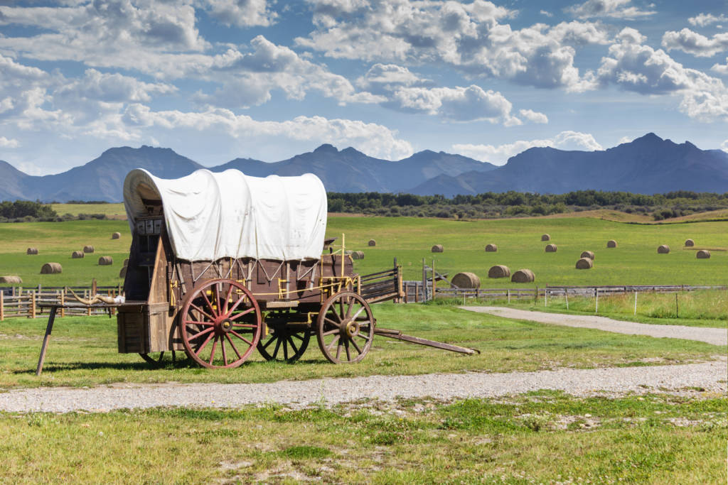 wagon