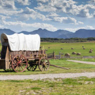 wagon