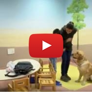 Shalva special needs