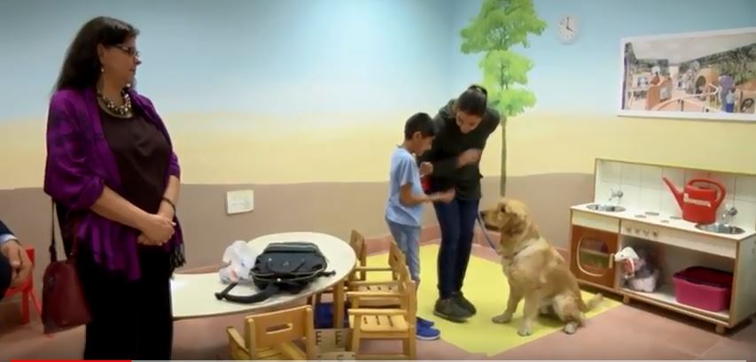 Shalva special needs