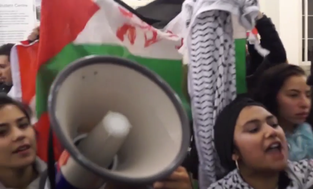 UCL Friends of Palestine Society