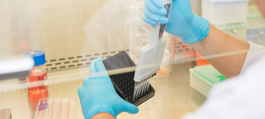 stem cell treatment