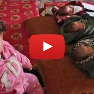 Gaza triplets jerusalem Mughrabi