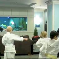 Martial arts therapy