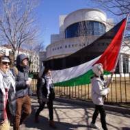 SJP Northeastern University