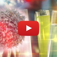 Cancer immunotherapy research