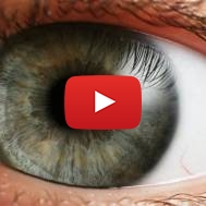 Human Eye