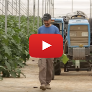 Israeli Farmer