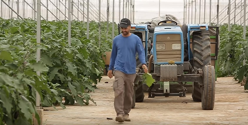 Israeli Farmer